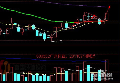 最新股票分析行情，洞悉市場趨勢，把握投資機會