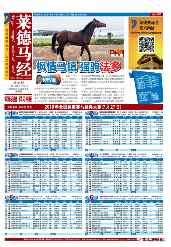 2019最新買馬資料,探索最新買馬資料，2019年買馬指南