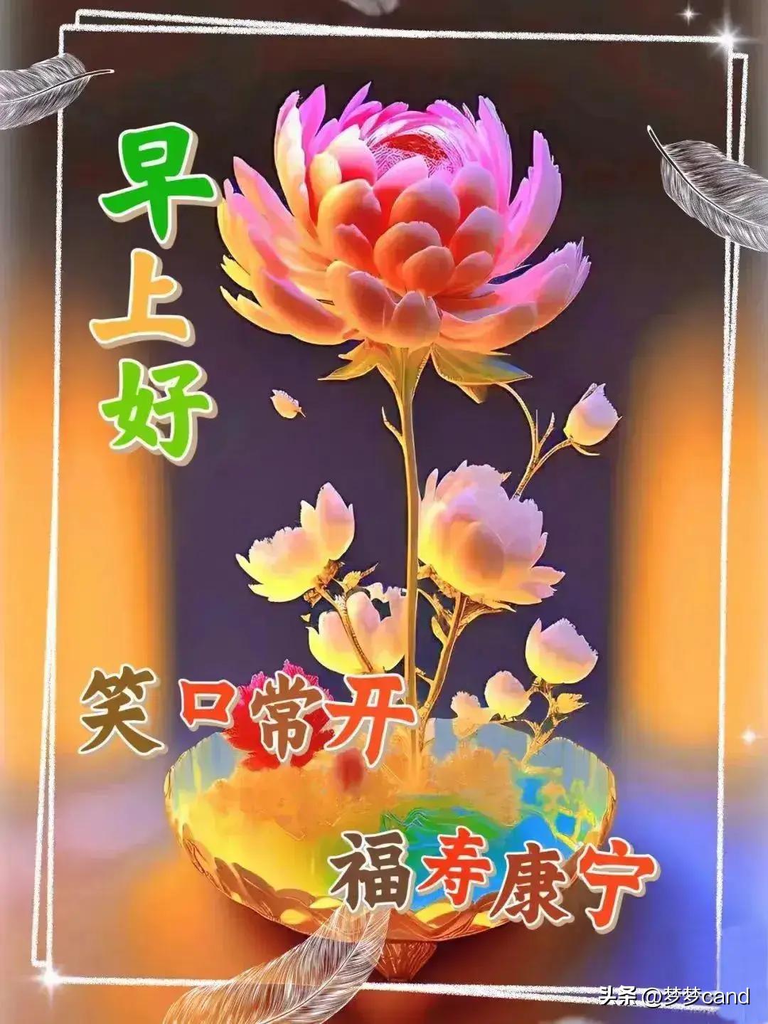 2024天天彩全年免費資料,實地數(shù)據(jù)驗證策略_優(yōu)選版41.288