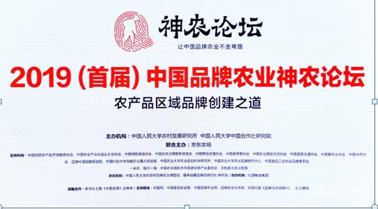 新澳2024濠江論壇資料,穩健性策略評估_專業款82.444