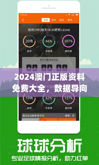 2024澳門精準正版免費,實用性執行策略講解_AP78.258