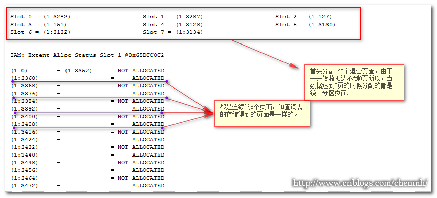 新澳門六開獎結果記錄,深入解析數(shù)據(jù)策略_尊貴款53.211