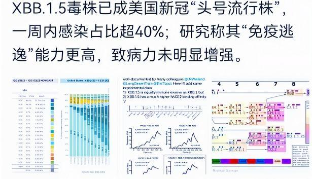 呂四最新病毒深度解析與應對策略