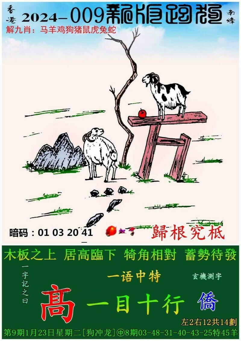 最新全年跑狗圖，探索運動魅力，競技激情無限