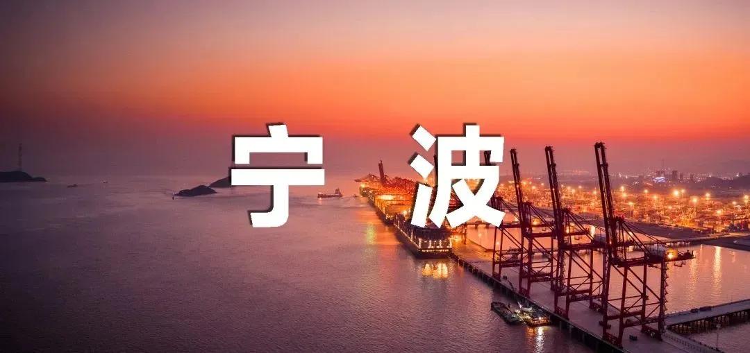 鎮(zhèn)海區(qū)初中最新招聘信息概覽，最新崗位與要求全解析