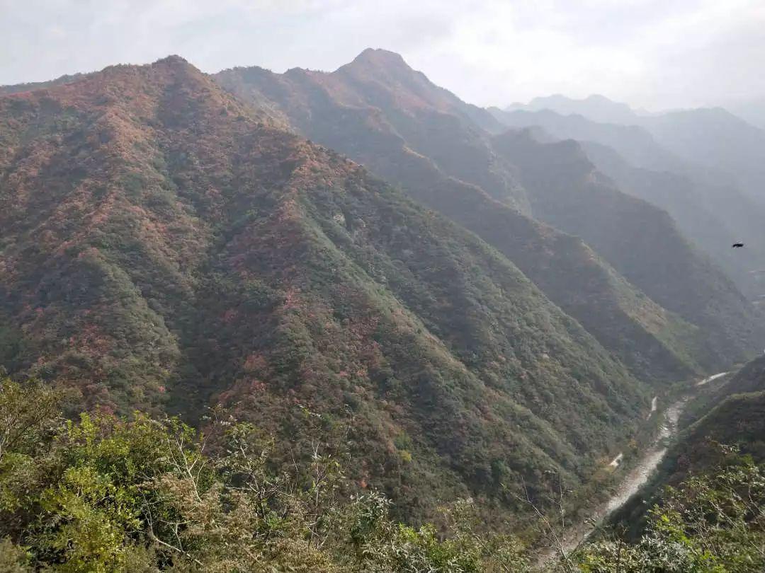 逍遙谷最新動態(tài)，探索自然奧秘，引領(lǐng)戶外潮流前沿