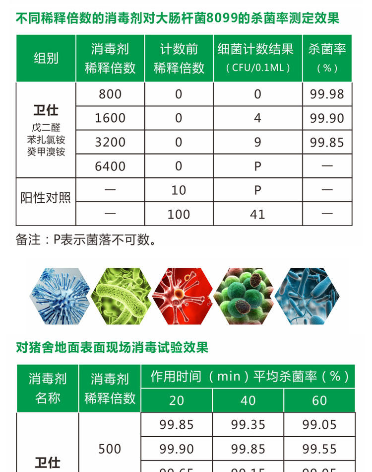 全球畜流感最新動態，防控形勢與應對策略更新報道