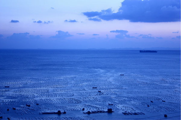 碧海莫鋒最新動態(tài)，探索前沿技術，引領未來發(fā)展趨勢